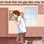 Cách Dập Lửa An Toàn, Kỹ Năng Thoát Hiểm Lửa Hiệu Quả Nhất