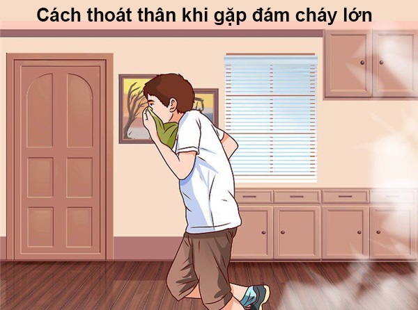 Cách Dập Lửa An Toàn, Kỹ Năng Thoát Hiểm Lửa Hiệu Quả Nhất
