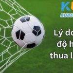 4 lý do cá độ hay bị thua