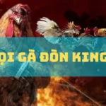 Chọi Gà Đòn King88 –  Cá Cược Đỉnh Cao
