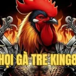 Chọi Gà Tre King88 – Thiên Đường Dành Cho Giới Yêu Kê